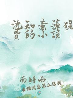 沈知意薄砚霆免费的小说