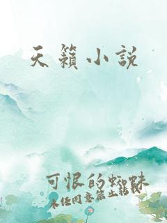 天籁小说