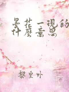 昙花一现的现是什么意思