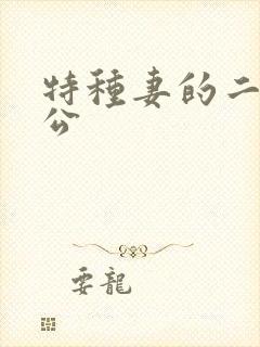 特种妻的二手老公