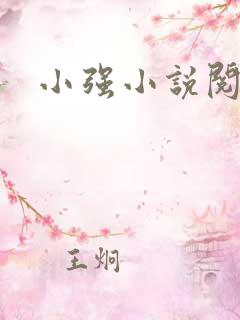 小强小说阅读网
