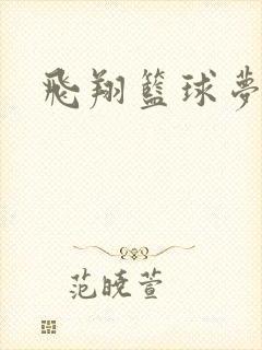 飞翔篮球梦下载