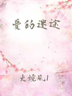 爱的迷途