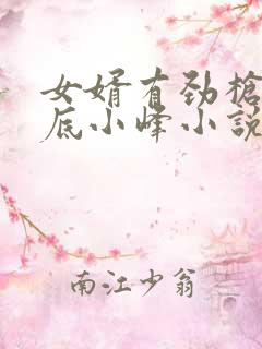 女婿有劲枪枪到底小峰小说