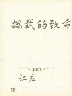 总裁的致命罪妻