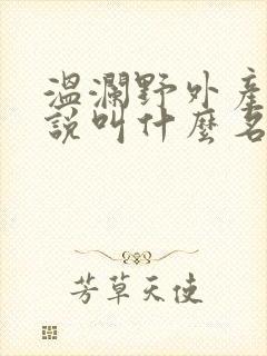 温澜野外产子小说叫什么名字