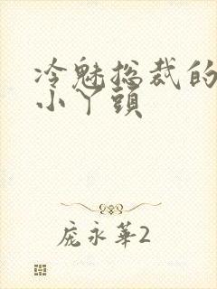 冷魅总裁的纯纯小丫头