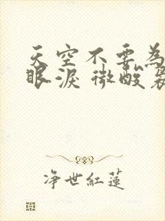 天空不要为我掉眼泪 微酸袅袅