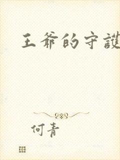 王爷的守护男妃