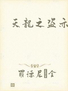 天龙之盗亦有道