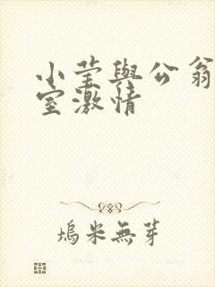 小莹与公翁办公室激情