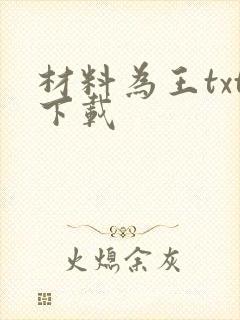 材料为王txt下载