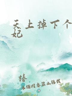 天上掉下个奇王妃