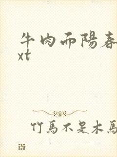 牛肉面阳春面txt