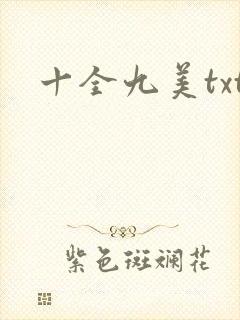 十全九美txt