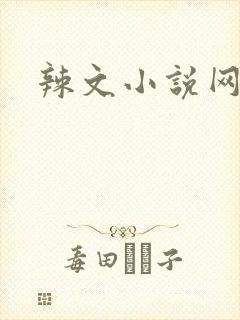 辣文小说网
