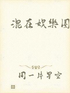 混在娱乐圈