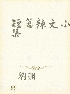 短篇辣文小说合集