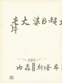 老大婆B超大图片