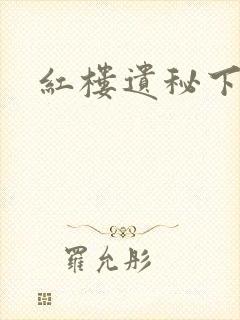 红楼遗秘下载