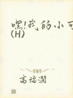 嘿!我的小可爱(H)