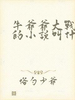 牛爷爷大战小丽的小说叫什么