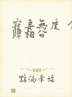 宠妻无度  金牌相公