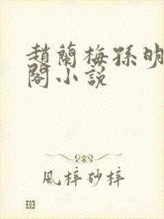 赵兰梅孙明笔趣阁小说