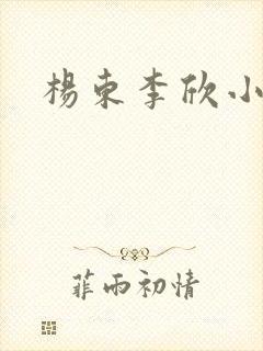 杨东李欣小说