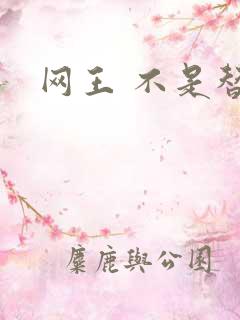 网王 不是替身