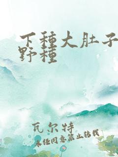 下种大肚子怀孕野种