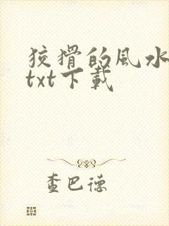 狡猾的风水相师txt下载