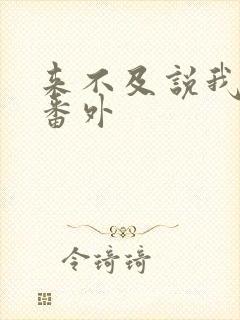 来不及说我爱你番外