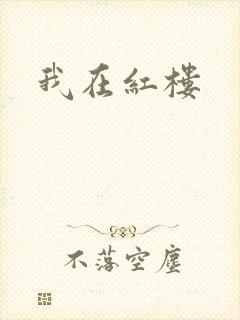 我在红楼