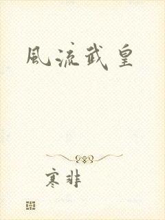 风流武皇