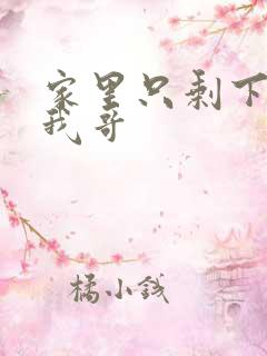 家里只剩下我和我哥