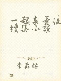 一起来看流星雨续集小说