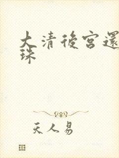 大清后宫还君明珠