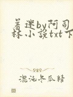 着迷by阿司匹林小说txt下载