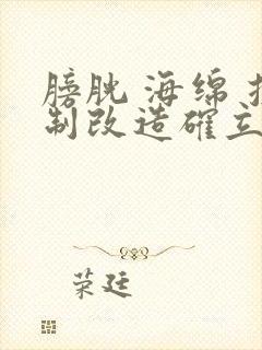 膀胱 海绵 控制改造确立m