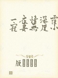 一夜情深霍先生宠妻无度小说免费阅读