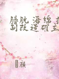 膀胱 海绵 控制改造确立m