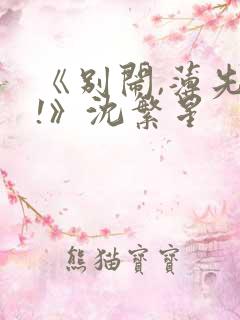 《别闹,薄先生!》沈繁星