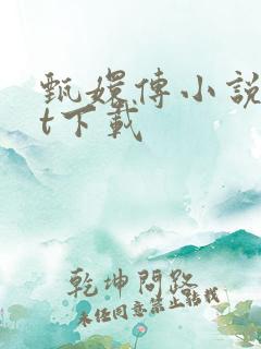 甄嬛传小说txt下载