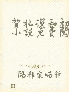 贺北溟和初夏的小说免费阅读无弹窗