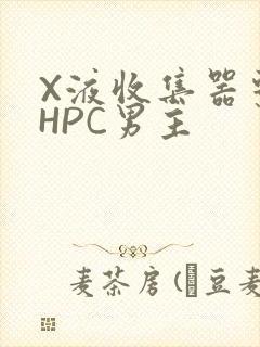 X液收集器系统HPC男主