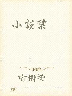 小说禁