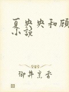 夏央央和顾祁琛小说