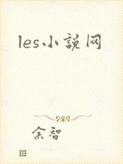 les小说网