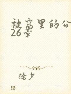 被窝里的公憩第26章